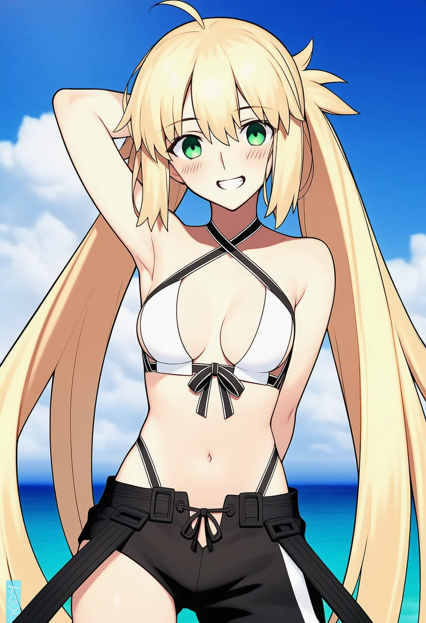 artoria caster (swimsuit berserker) (fate)