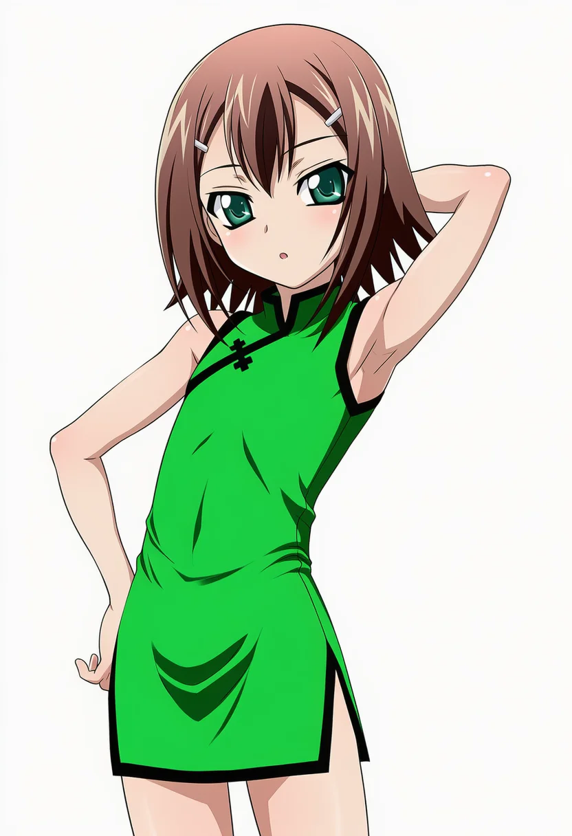 kinoshita hideyoshi