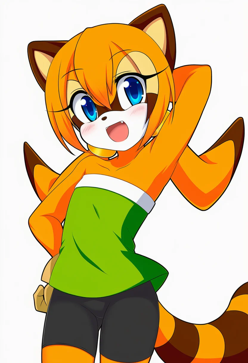 marine the raccoon