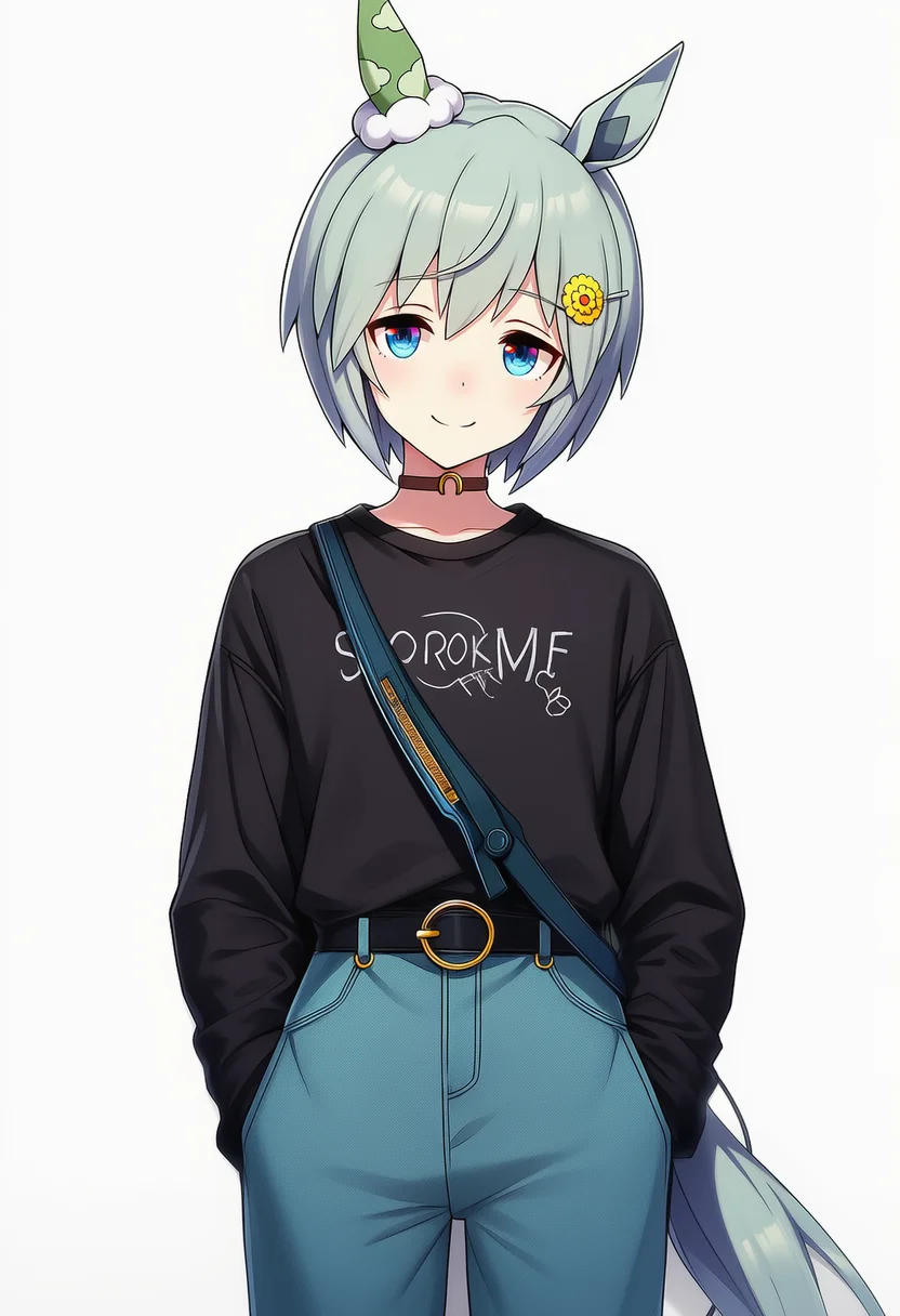 seiun sky (casual) (umamusume)