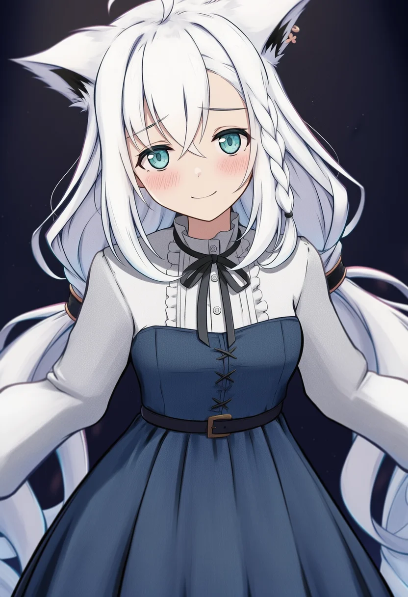shirakami fubuki (saint)