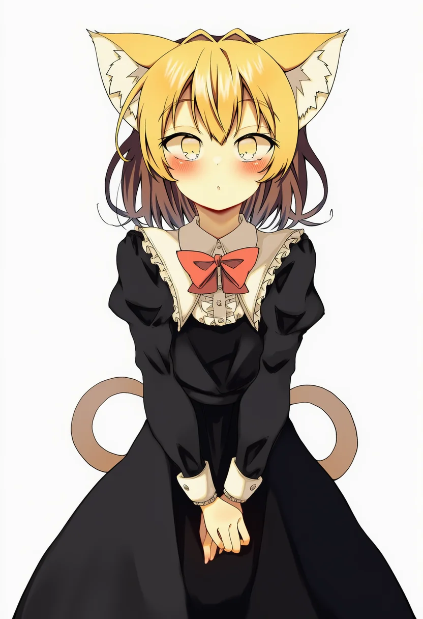 seika okawari
